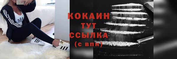 гидра Белоозёрский