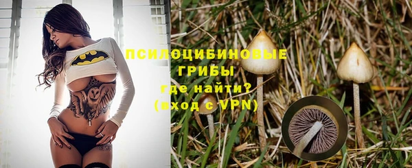 гидропоника Балахна