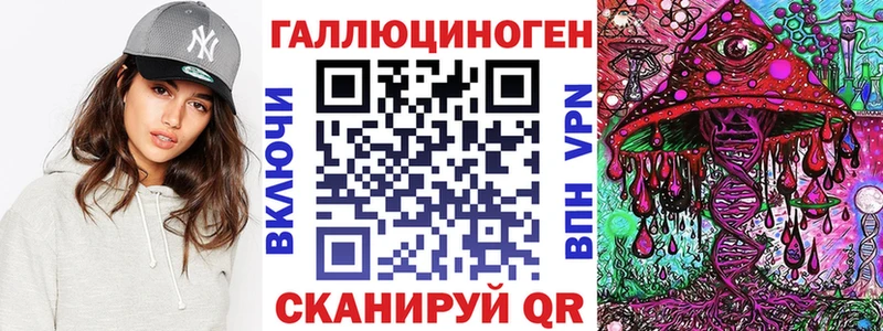 Галлюциногенные грибы Psilocybe  купить наркоту  Городище 